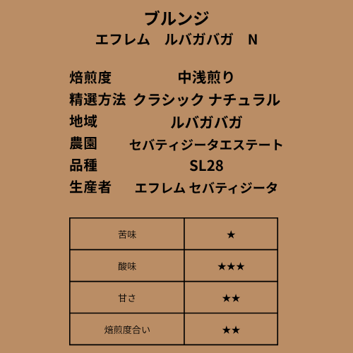 【新商品】ブルンジ ナチュラル